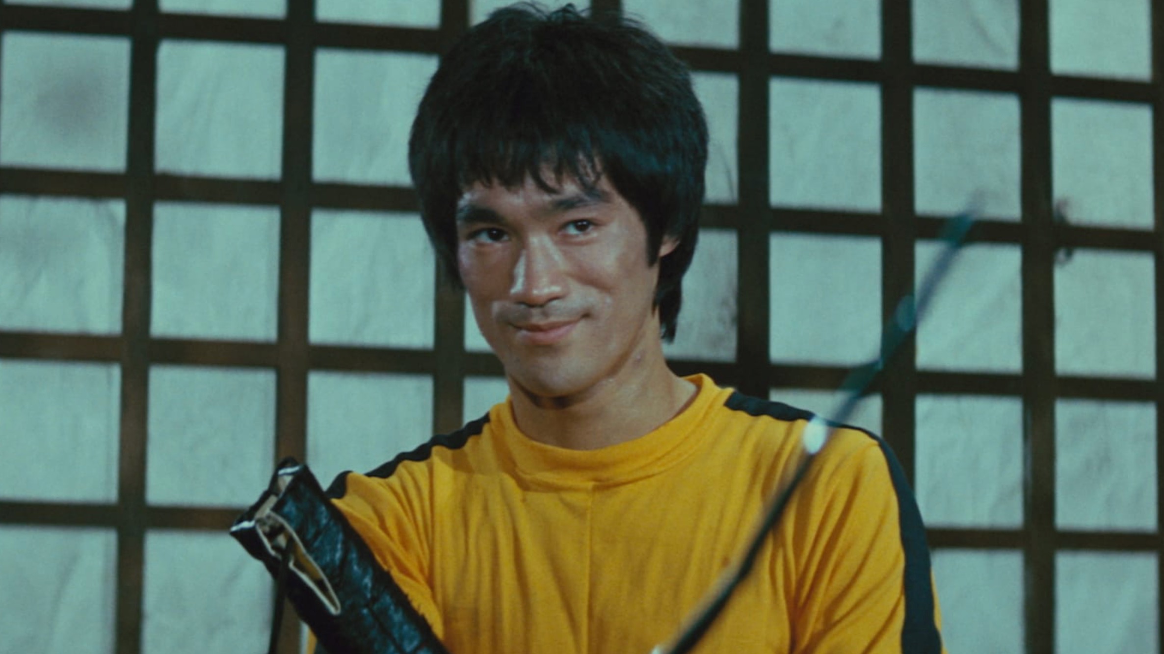 Bruce Lee: His Greatest Hits, Hair and Wild Palms: Jim Hemphill's Home  Video Recommendations | Filmmaker Magazine