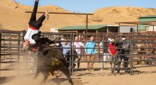 A man flying in the air after being thrown by a bull in a rodeo arena