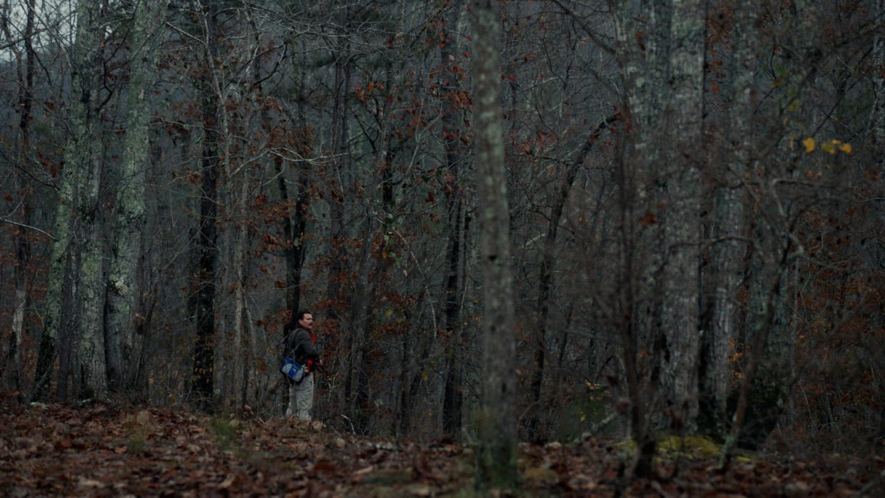 A middle-aged white man in a forest seen from a distance