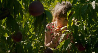 A young girl with brown hair wears a pink dress with a strawberry print and hides among the green leaves of a peach tree.