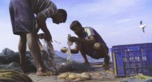 Two men go through what their fishing net caught on a seaport dock.