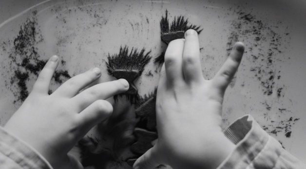 A child's hands are shot in a black and white photograph.