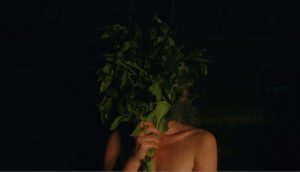 A woman stands nude in a dark room, her face is covered by a bouquet of aromatic leaves.