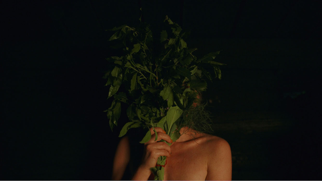 A woman stands nude in a dark room, her face is covered by a bouquet of aromatic leaves.