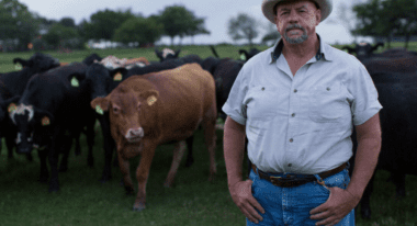 A middle-aged man with a white beard stands in front of a herd of cattle. He wears blue jeans, a light blue short-sleeved button-up shirt and an off-white cowboy hat.