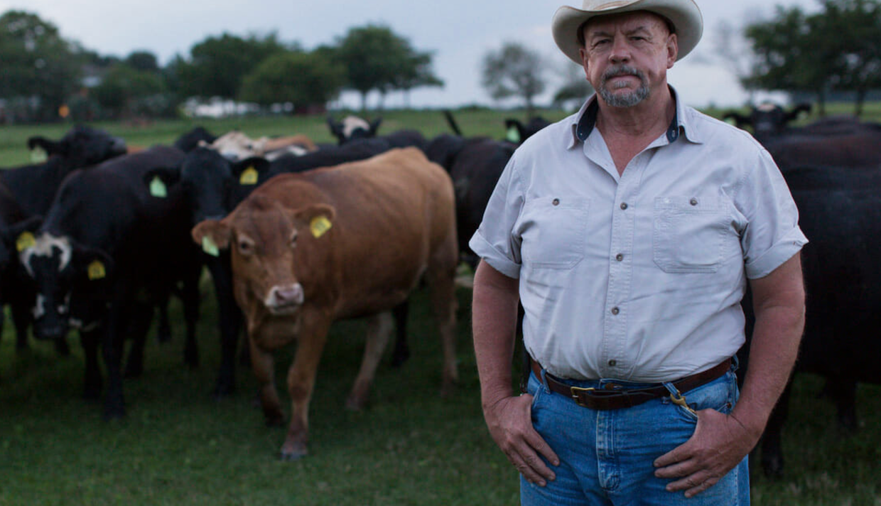 A middle-aged man with a white beard stands in front of a herd of cattle. He wears blue jeans, a light blue short-sleeved button-up shirt and an off-white cowboy hat.