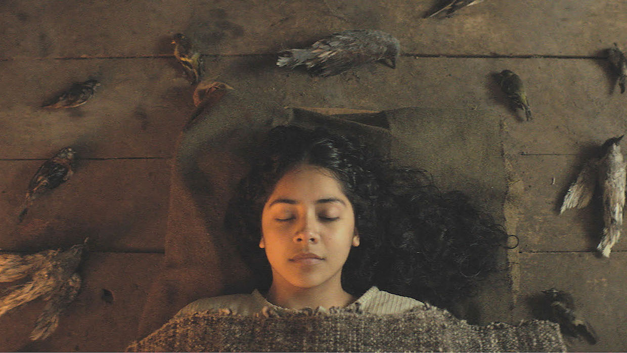 A woman with long, black hair sleeps on a cot with a burlap blanket.