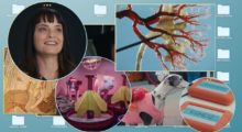 A collage featuring filmmaker Penny Lane, a greyhound wearing a pink sweater and hard drives labeled "kidney 1" and "kidney 2."