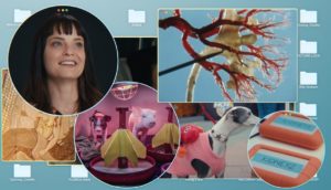 A collage featuring filmmaker Penny Lane, a greyhound wearing a pink sweater and hard drives labeled "kidney 1" and "kidney 2."