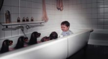 A small boy in a bathtub along with several small dogs, some with glowing red faces.