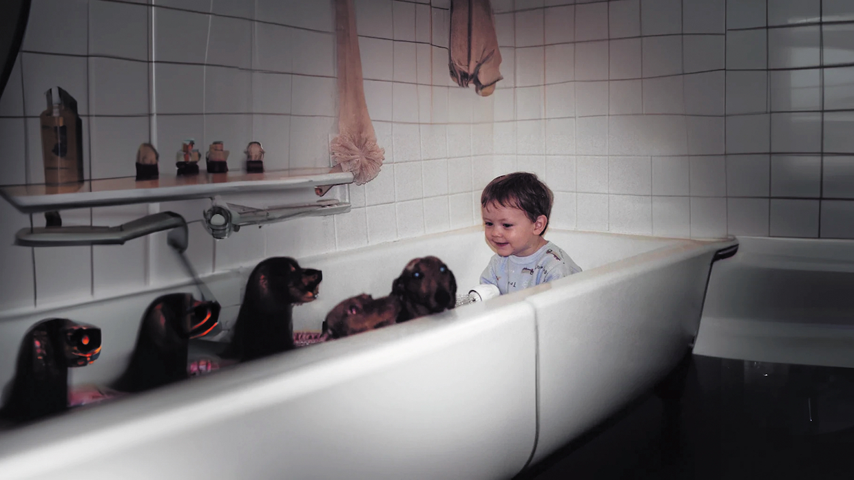A small boy in a bathtub along with several small dogs, some with glowing red faces.