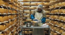 A man works within a cheese cave.