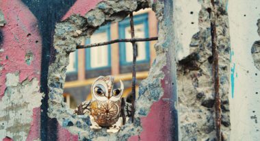 A porcelain owl is sitting in a hole in the wall of a partially destroyed building.