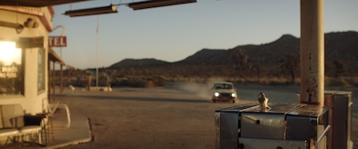 A car drives through the desert towards a bird sitting on a gas pump.