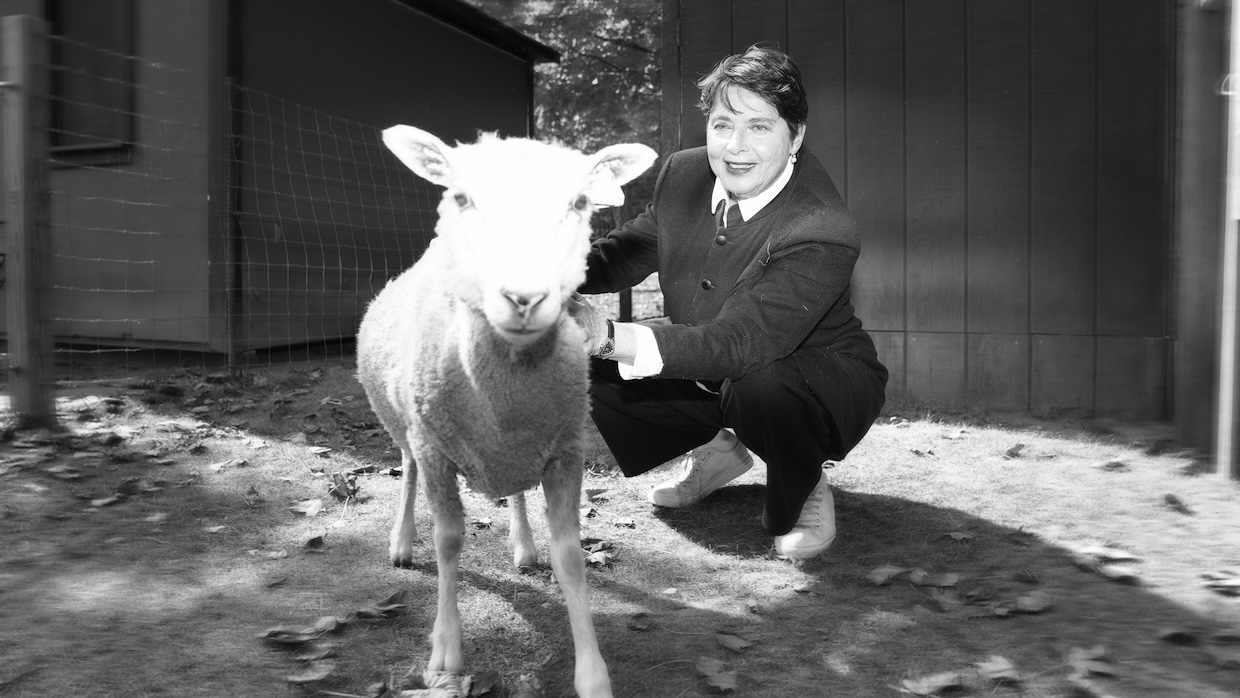 A woman and a sheep.