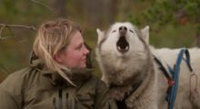 Two-shot of a white girl and a howling sled dog.