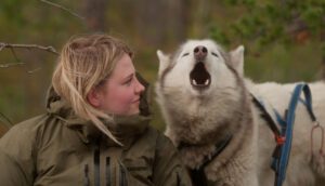 Two-shot of a white girl and a howling sled dog.