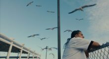 A man is leaning on a fence as large birds fly overhead.
