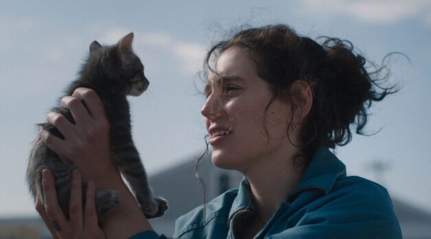 “Snapshots of a Memory of Our Character”: DP Mia Cioffi Henry on Sorry, Baby