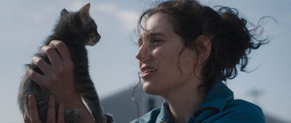 A woman is holding a cat in her hands.