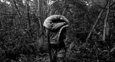 A man walks through a forest with a crocodile over his head.