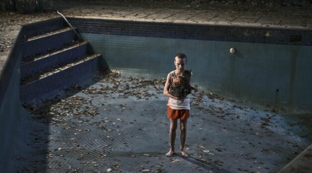 A young boy stands in an empty pool at night while holding a dog.