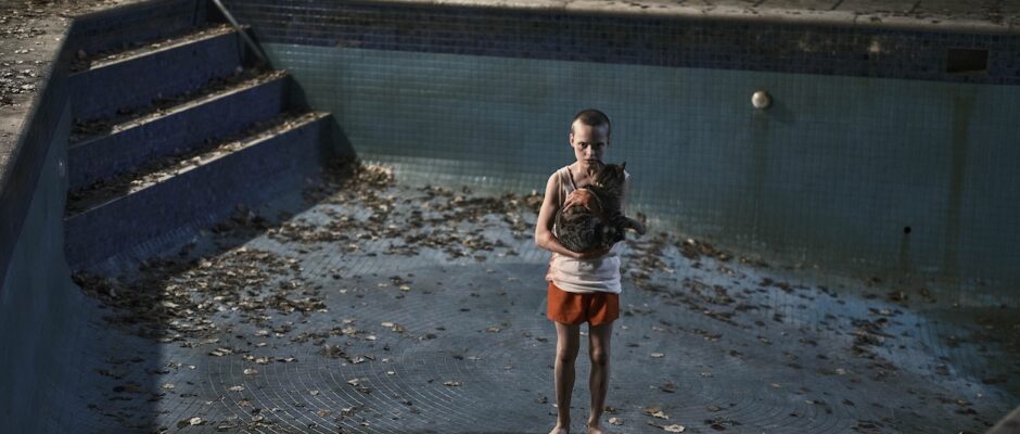 A young boy stands in an empty pool at night while holding a dog.