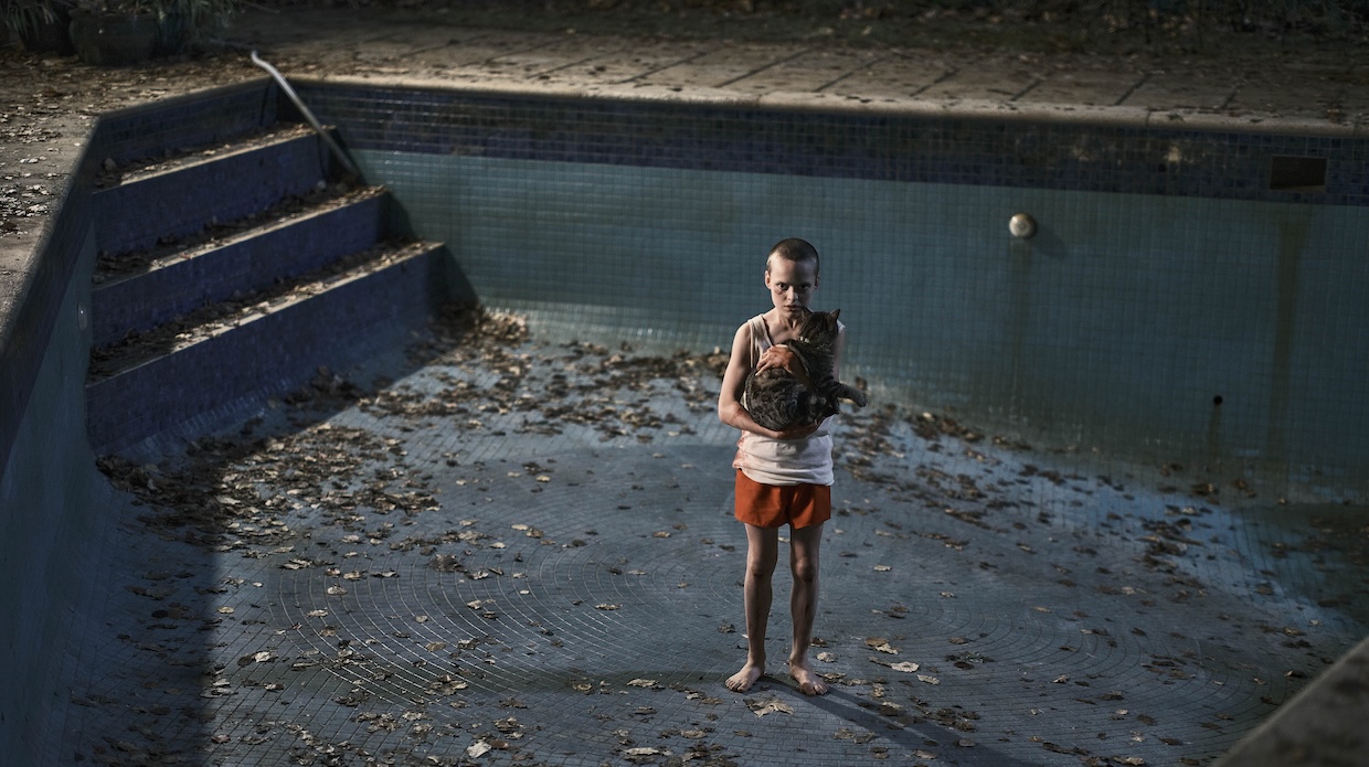 BHB_02484_RI | Filmmaker Magazine A young boy stands in an empty pool at night while holding a dog.