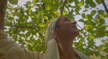 A young woman wearing a white headscarf stands under a tree, she looks up to see the sky between the leaves.